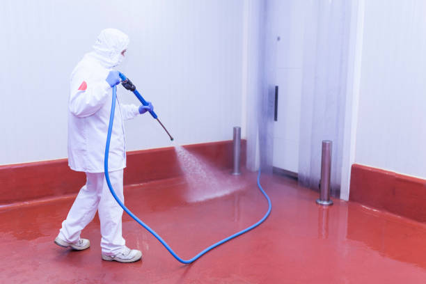 Professional Pressure Washing Services in Minoa, NY